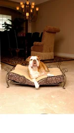 WINSTON_BED.webp