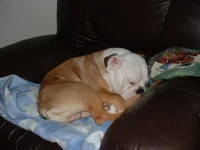 DSCF0267.webp