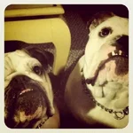 Bea and Bo - Sept 2011.webp Bea and Bo - Sept 2011.webp