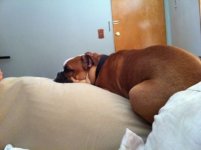 ImageUploadedByTapatalk1307066904.665531.jpg
