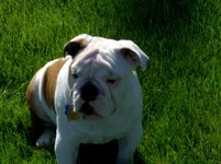max 048.webp