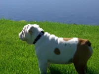 max 051.webp