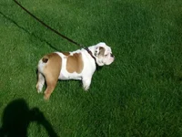 max 040.webp
