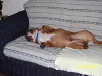 Mack 015.webp