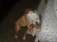 DSCF0147.webp