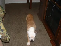 DSCF0144.webp