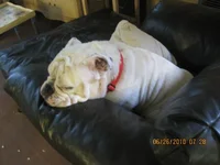 cleaning night 003.webp