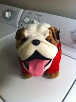 ImageUploadedByTapatalk1307271632.205121.webp