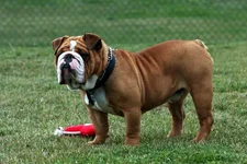 spanky-feb 2008_3.webp
