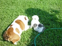 DSC01296.webp