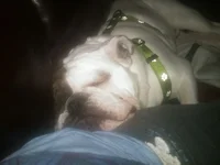 sleepy.webp sleepy.webp