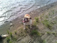 Daisy 10.webp