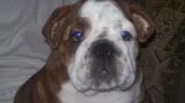 sasha..webp