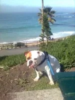 Laguna0320102.webp