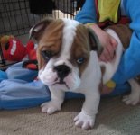 IMG_0320.jpg IMG_0320.jpg