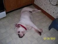 006.webp