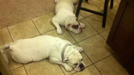 2011-03-19_23-31-17_114.webp