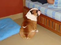 DSC01046.webp