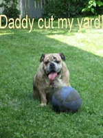 Dukey the Tater Tot 011.webp