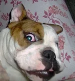 brenda horror 040.webp