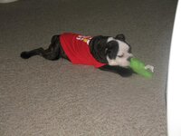 IMG_4561.jpg