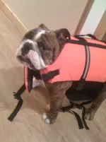 ImageUploadedByTapatalk1307812930.778776.webp