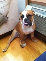 ImageUploadedByTapatalk1307893497.003833.webp
