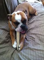 ImageUploadedByTapatalk1307911488.762219.webp