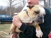 100_0230.webp