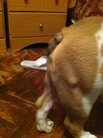 IMG_1251.jpg IMG_1251.jpg