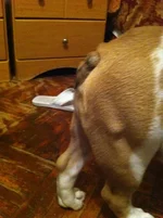 IMG_1251.webp IMG_1251.webp