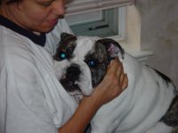 Picture 132.jpg Picture 132.jpg