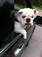 photo.webp
