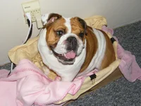 2009_0621casigivingbirth0019.webp