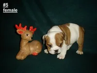 Female 5 - 11-26-07.webp