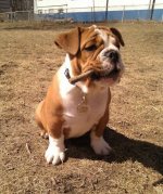 207058_10150489718685403_893225402_17922519_7871657_n(2).jpg 207058_10150489718685403_893225402_17922519_7871657_n(2).jpg