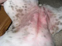 IMG_4997.webp IMG_4997.webp