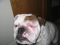 IMG_5001.webp IMG_5001.webp