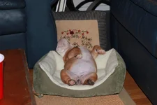 005.webp