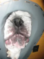 616.webp