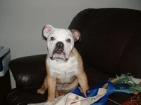 DSCF0176.webp