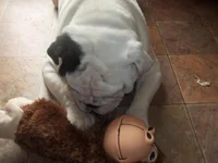 100_0934.webp 100_0934.webp