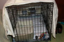 001.webp