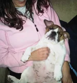 Daisy.webp Daisy.webp