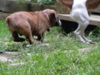 265.webp
