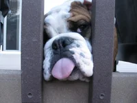 6-18-11 (11).webp