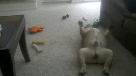 2010-09-12_13-42-00_449.webp