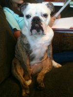 IMG_0961.jpg IMG_0961.jpg