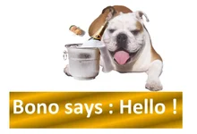 Bonosayshello.webp