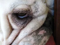 close-ups again 016.webp